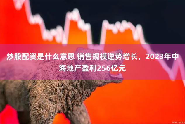 炒股配资是什么意思 销售规模逆势增长，2023年中海地产盈利256亿元