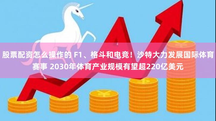 股票配资怎么操作的 F1、格斗和电竞！沙特大力发展国际体育赛事 2030年体育产业规模有望超220亿美元