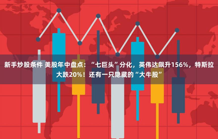 新手炒股条件 美股年中盘点：“七巨头”分化，英伟达飙升156%，特斯拉大跌20%！还有一只隐藏的“大牛股”